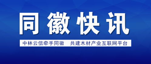 項城醫(yī)藥行業(yè)網(wǎng)站建設(shè)解決方案 打造數(shù)字化健康門戶